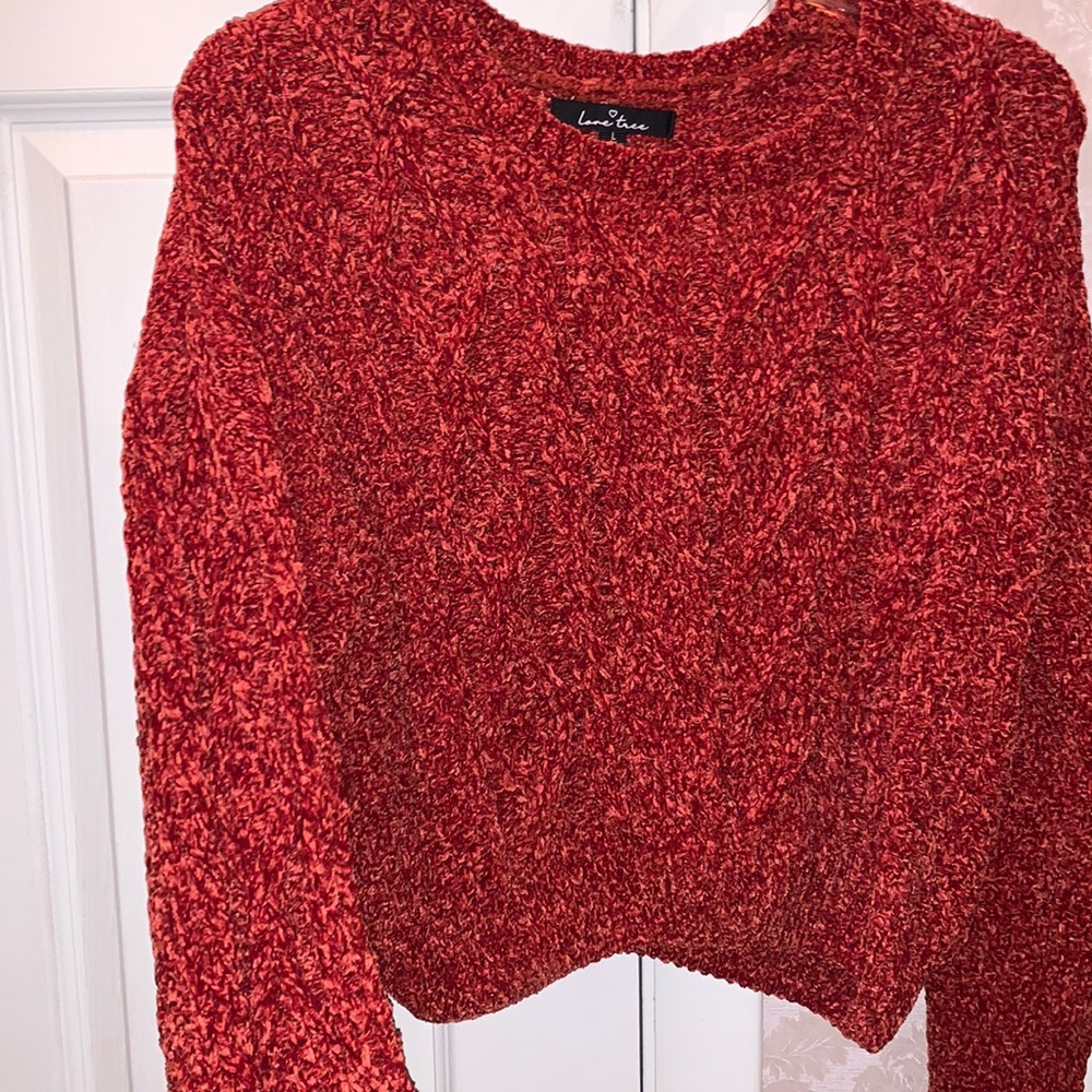 Rust Velvet Cropped Sweater size Large